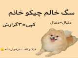 سگ خالم چیکو خانم دنبال=دنبال