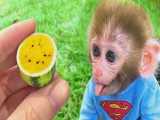 هندونه خوردن بچه میمون