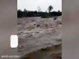جاری شدن سیلاب در رودخانه روستای چران پره سر در رضوانشهر