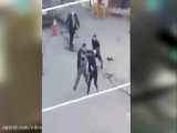 فیلم لحظه قمه کشی در خیابان آمل و عملیات بازداشت 3 شرور