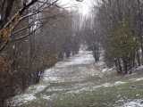 جلوه های زیبای بارش برف پاییزی در ایردموسی جمعه ۲۱ آبان ۱۴۰۰