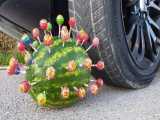 چالش های تفریحی و سرگرمی :: لح کردن هندوانه با ماشین!!
