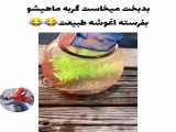 میخواسته گربه ماهیشو بذاره تو دریا که یهو... بقیشو بیبین خیلی باحاله