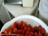 اسلایس گوجه ها با دستگاه