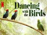 مستند رقصیدن با پرندگان دوبله فارسی Dancing with the Birds 2019