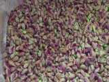 فروش و صادرات عمده مغز پسته گلدار (ماتیکی) سبز قزوین