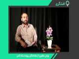 بررسی پرونده سکه ثامن- صدای ۳هزار خانواده‌ی مالباخته