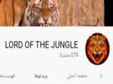 افشا دروغ کانال Lord Of The Jungle در جنگ شیر و ببر