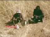 شکار  مار پیتون توسط اهالی بومی صحرای آفریقا