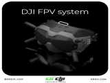 Digital FPV System