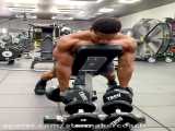 Incline row to spider curls