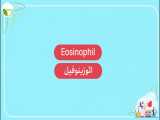 مولفه‌‌های آزمایشگاهی: ائوزینوفیل | Eosinophil