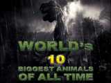 10 تا از بزرگترین جانداران در تمام تاریخ