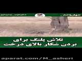 کلیپ خنده دارحیوانات