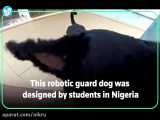 دانشجویان نیجریه‌ای سگ رباتیک نگهبان ساختند