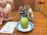 میوه خوردن و دادن بامزه به سه بچه میمون یتیم شیطون باحال به فرزندی قبول شده HD