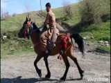 کلیپ اسب عرب / کلیپ جدید اسب سواری