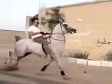 اسب سواری با اسب عرب***