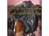 طرز تهیه ماجون لامردی 