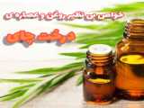 خواص بی نظیر، روغن و عصاره ی درخت چای