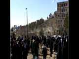 آرشیو؛ بزرگداشت روز درختکاری سال ۱۳۹۰ در دانشگاه شهید بهشتی