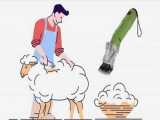 پشمچین / پشم چین برقی گوسفند|09123759126|مهندس جوادی ها|فروشگاه ابزار دام