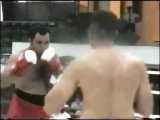 champion worldPro kick boxing taher davar...japon