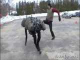 ربات هوشمند big dog