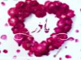Fajn     & 039;  عالی