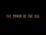 دانلود فیلم the power of the dog قدرت سگ ۲۰۲۱