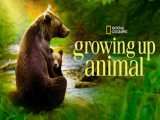 مستند رشد حیوانی Growing Up Animal 2021 ، مستند بزرگ شدن حیوان