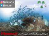 تریلر و دانلود فیلم Chasing Coral 2017