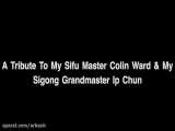 نمایشی از کونگفو وینگ چان توسط استاد بزرگ ایپ چان فرزند استاد ایپ من