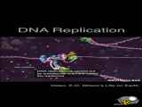 دی ان ای انسان human DNA با میکروسکوپ