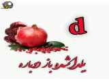 کلیپ استوری برای شب یلدا