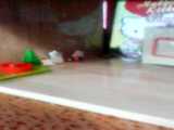 پارت 2خانه باربی من
