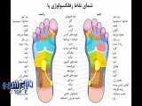 درمان انواع دردها با ماساژ کف پا ... ودیویی کمتر دیده شده و کمیاب