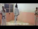 جداکننده - ورزشهای رزمی - کیوکوشین کای کاراته - باشگاه ورزشی حسینیه