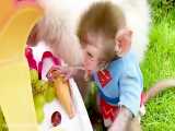 Baby monkey Bon Bon and puppy pretend play selling ice cream