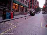 بیست دقیقه پیاده روی صبحگاهی در بروکلین نیویورک آمریکا | (صدای محیط | قسمت 74)
