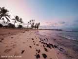 نیم ساعت پیاده روی در جزایر هاوایی هنگام طلوع آفتاب | (صدای محیط | قسمت 75)