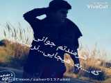 فیلم محمود