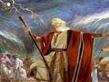 عصای حضرت موسی ع کجاست و چه گونه کشف شد