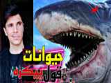 بهترین گل تاریخ