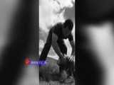BMB  ،،تغییر رنگ،،