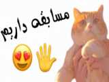 کپـ...(: