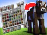 ماب های ماینکرافت در واقعیت!!| Minecraft Mobs in really life