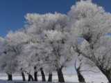 چالش باربی قدیمی