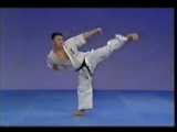 پینان سانو یون کیوکشین کاراته