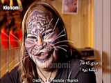 پلنگ و ببر